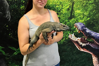 Een geleid bezoek aan de reptielen en dieren met voederen en verzorgen bij Mike's Repitpark (Doornik - Henegouwen)
