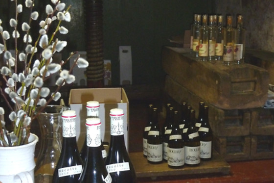 Domaine du Pampre - photo 11
