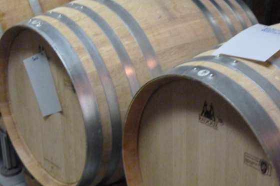 Domaine du Pampre - photo 13