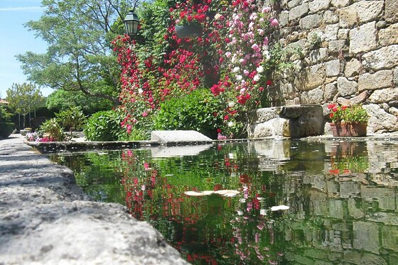 QUINTA DO TERREIRO - photo 3