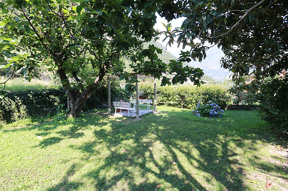 B&B Jasmyn - photo 7