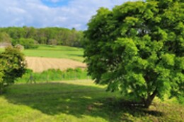Ferme Peyroutet