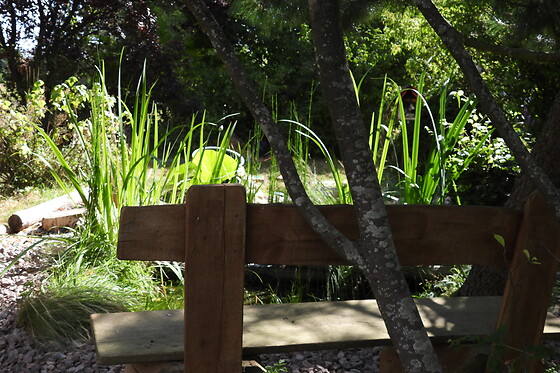 Le Souffle du Saule - photo 12