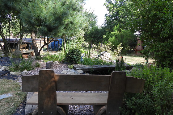 Le Souffle du Saule - photo 20