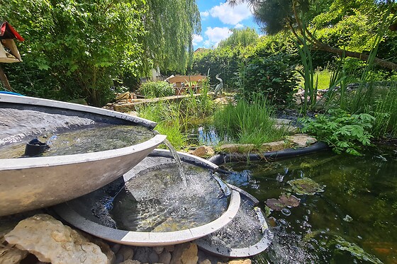 Le Souffle du Saule - photo 22