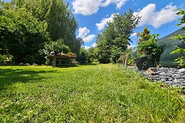 Le Souffle du Saule