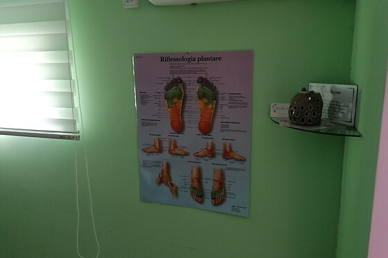 Bevilacqua Riflessologia - photo 3