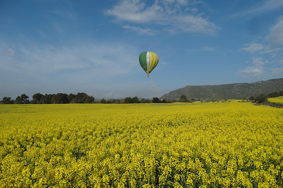 CAMINS DE VENT - photo 4