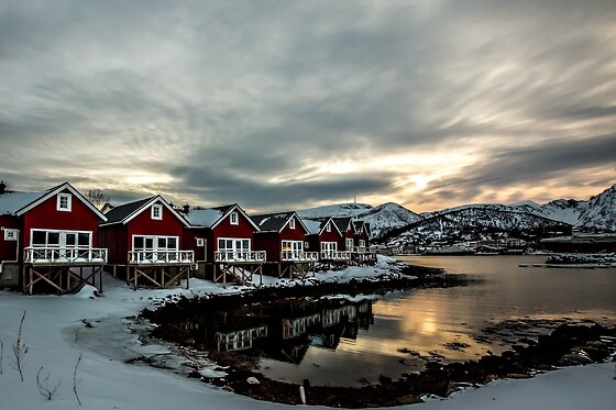 Online Booking EPS - photo 0