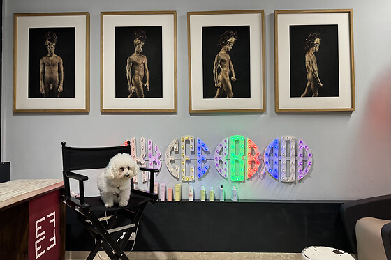 Kebo Hair Salon - photo 4