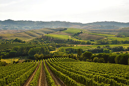 Cantina Wine Shop Badia di Morrona