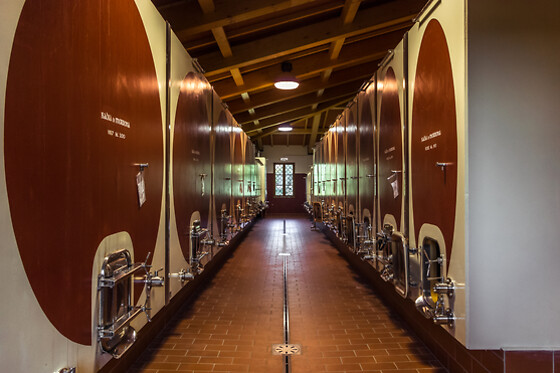 Cantina Wine Shop Badia di Morrona - photo 2