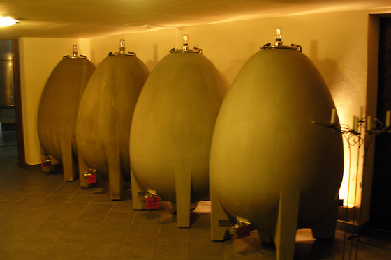 Domaine La Capitaine vins BIO - photo 0