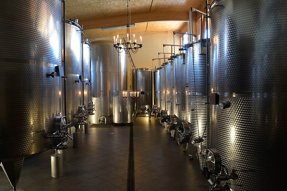 Domaine La Capitaine vins BIO - photo 1