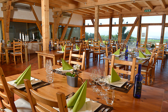 Domaine La Capitaine vins BIO - photo 2