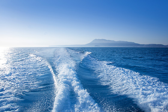 PALMAYACHTS - BOAT TOURS - photo 3
