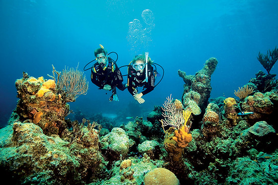 TOSSASUB DIVING CENTER - photo 4