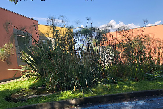 Ibis Styles Acireale - photo 2
