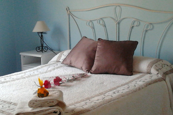 CASA PANO RIO - photo 12