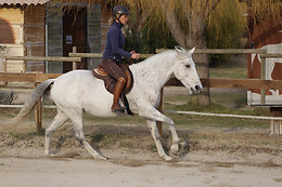 Cheval ascension