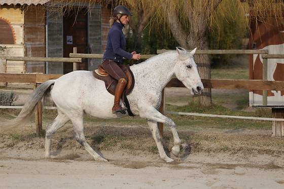 Cheval ascension - photo 0