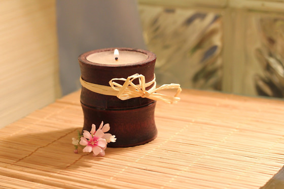 UROSUS - photo 1