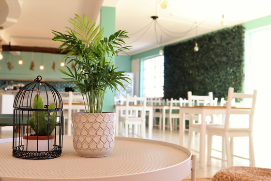 BALANCE CAFE - photo 13