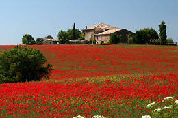 L'Esprit Nature