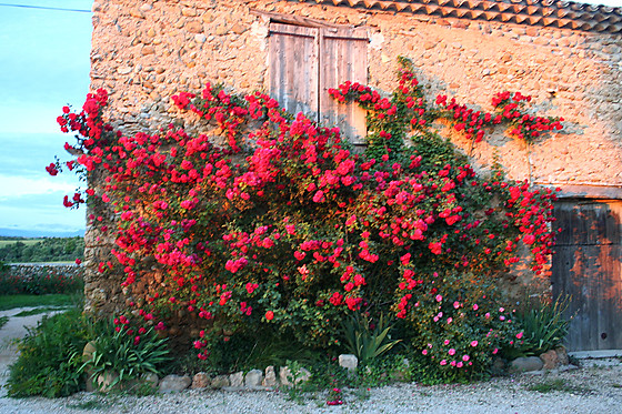 L'Esprit Nature - photo 3