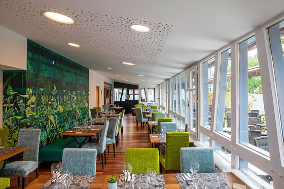 Hôtel Restaurant Au Cygne - photo 5