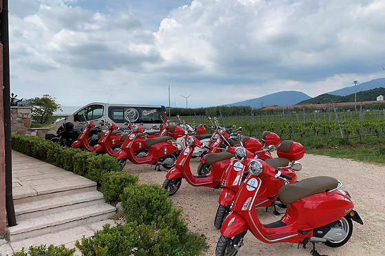 Rentgarda - photo 8