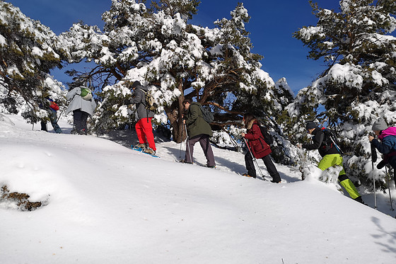 TABEI ADVENTURES - photo 2
