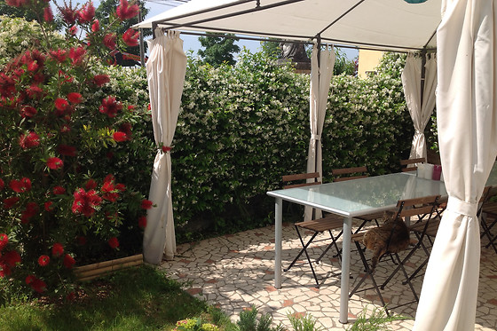 Hobo B&B - photo 2
