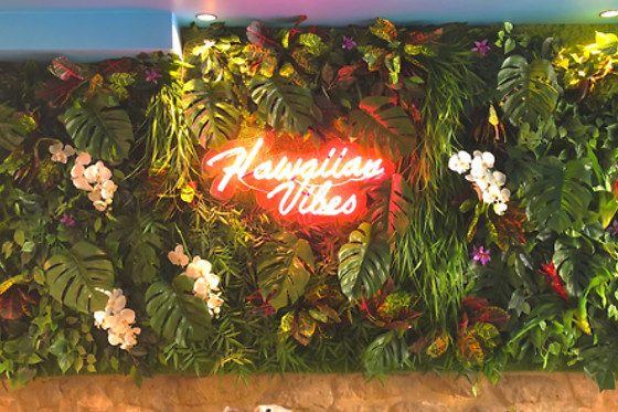 Hawaiian Poké Paris - photo 3