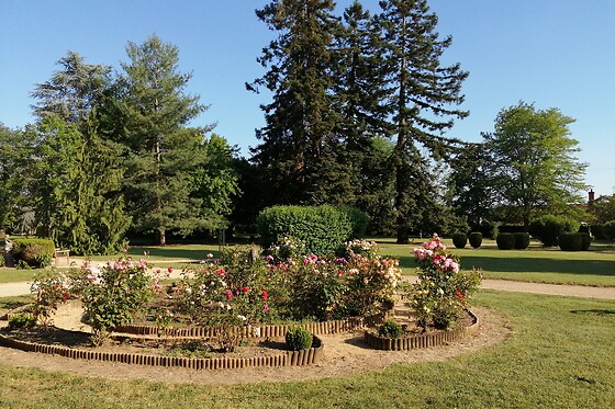 Château de Bournand - photo 9
