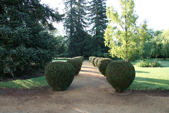 Château de Bournand - photo 15