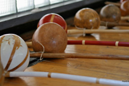 Capoeira Senzala Geneve