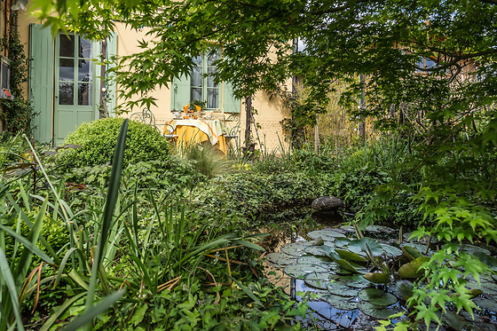Au Jardin - photo 0