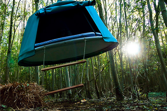Les Naturelles Insolites - photo 6