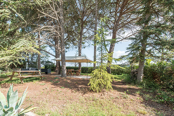 Domaine du Siestou - photo 17