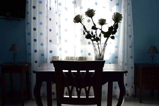 Online Booking EPS - photo 2