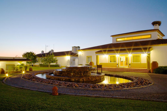 HOTEL VILA GALÉ ALENTEJO VINEYARDS - photo 0
