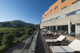 VILA GALÉ COLLECTION DOURO 4*