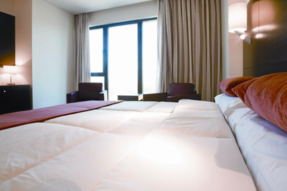 HOTEL VALLES DE GREDOS - photo 9