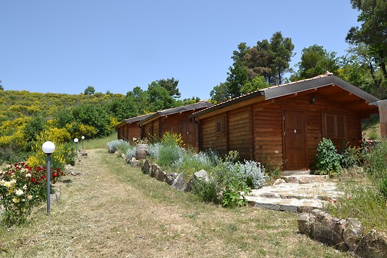 Agriturismo Pinelli Bellavista - photo 4