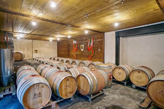 Vignobles François Baur - photo 0